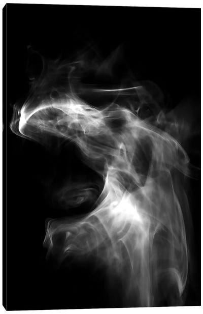 Dragon In The Smoke Canvas Art Print - Nik Rave