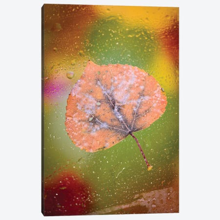 Frozen Leaf Canvas Print #NRV381} by Nik Rave Canvas Print