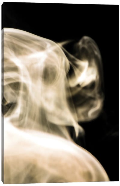 Face In The Smoke Canvas Art Print - Nik Rave