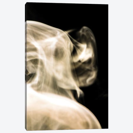 Face In The Smoke Canvas Print #NRV383} by Nik Rave Canvas Art Print