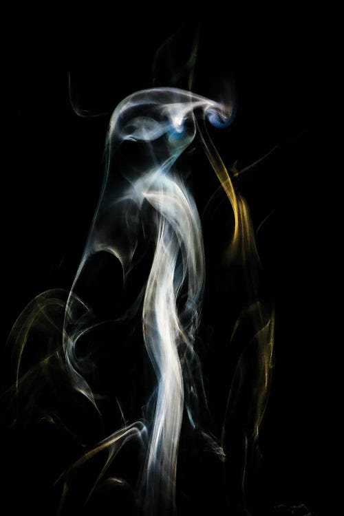 Penguin In The Smoke by Nik Rave wall art