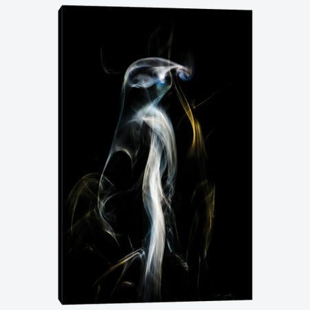 Penguin In The Smoke Canvas Print #NRV385} by Nik Rave Canvas Art