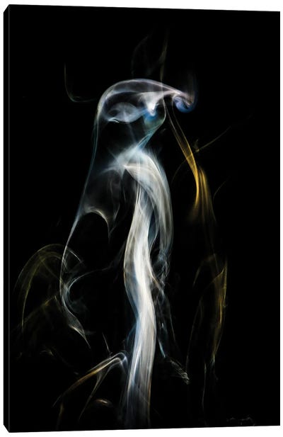 Penguin In The Smoke Canvas Art Print - Nik Rave