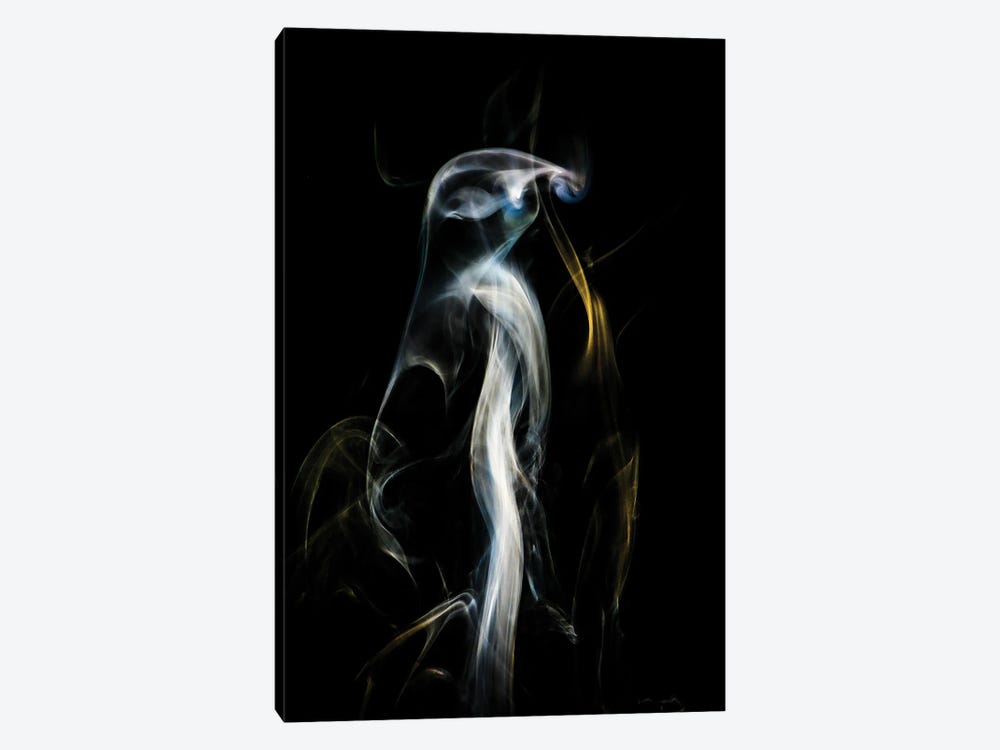 Penguin In The Smoke by Nik Rave 1-piece Canvas Print