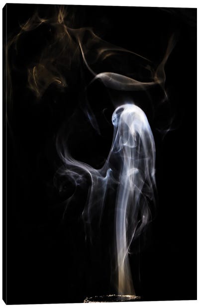 Ghost In Smoke Canvas Art Print - Nik Rave