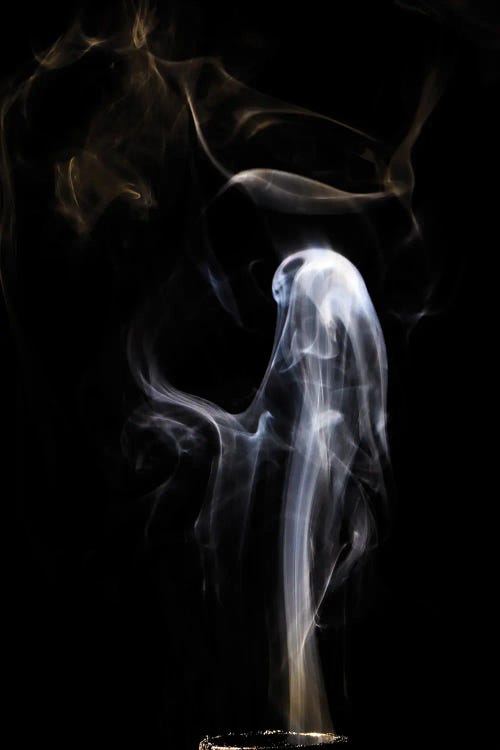 Ghost In Smoke by Nik Rave wall art