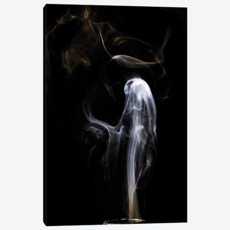 Ghost In Smoke Canvas Print #NRV388} by Nik Rave Canvas Art Print