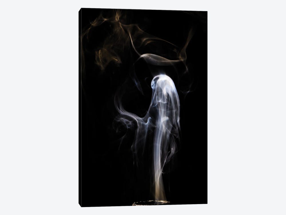 Ghost In Smoke by Nik Rave 1-piece Canvas Art