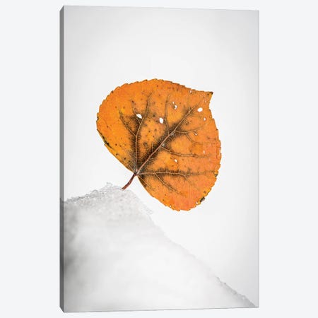Orange Leaf On The Snowy Hill Canvas Print #NRV389} by Nik Rave Canvas Art Print