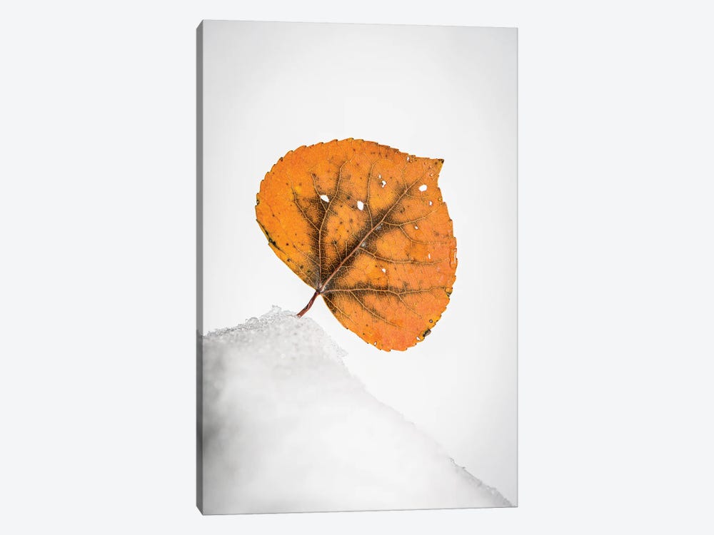 Orange Leaf On The Snowy Hill by Nik Rave 1-piece Art Print