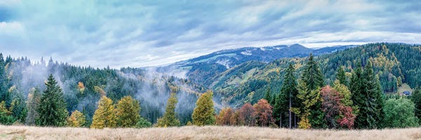 Nik Rave: Germany Wilderness Panorama by Nik Rave