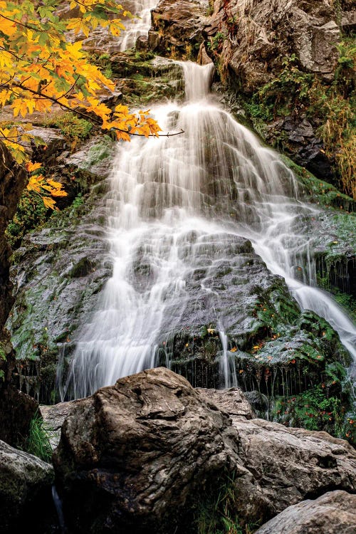 Germany Wilderness Waterfall