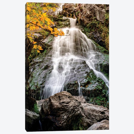 Germany Wilderness Waterfall Canvas Print #NRV392} by Nik Rave Canvas Wall Art