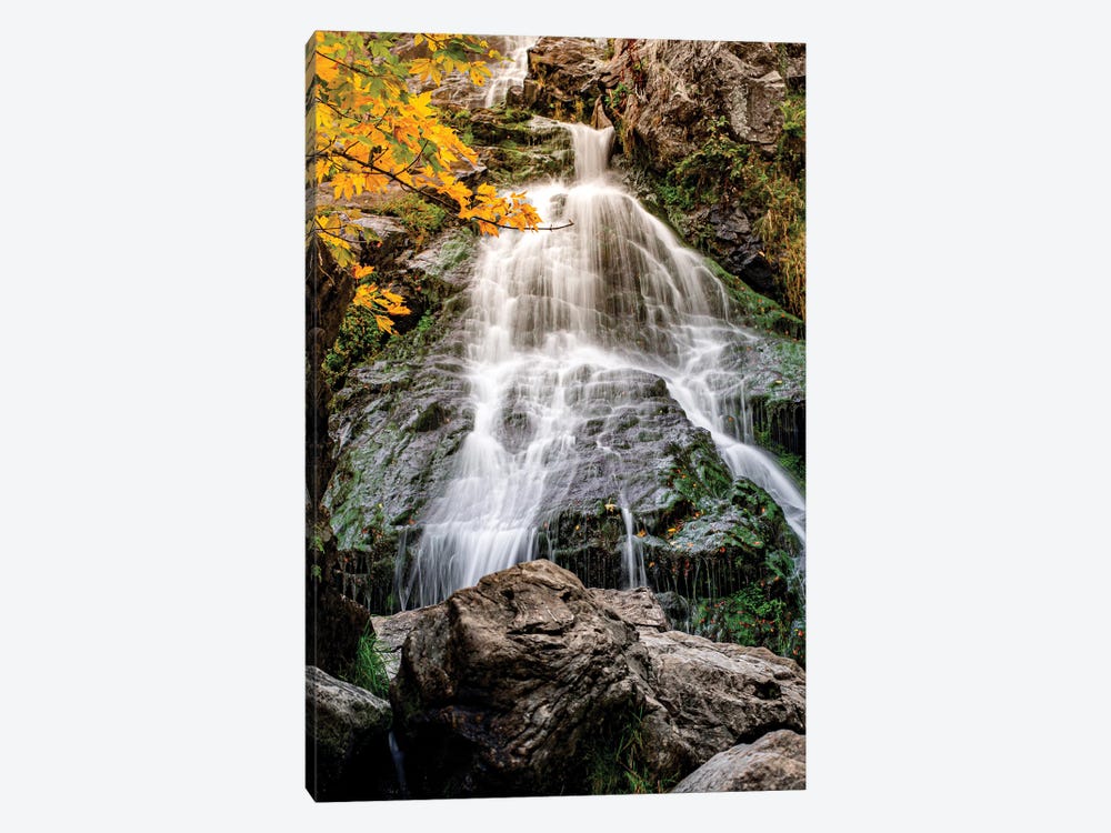 Germany Wilderness Waterfall by Nik Rave 1-piece Canvas Print