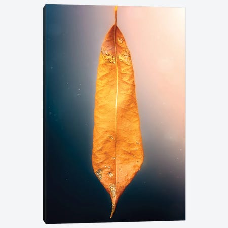 Cotton Candy Sky Tree Leaf Canvas Print #NRV401} by Nik Rave Canvas Wall Art