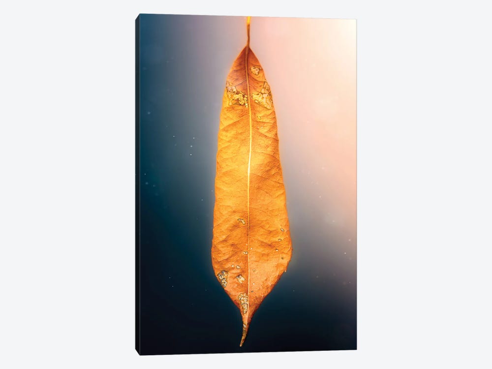 Cotton Candy Sky Tree Leaf by Nik Rave 1-piece Canvas Wall Art