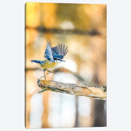 Dancing Little Bird At The Morning Canvas Print #NRV404} by Nik Rave Canvas Art Print