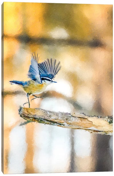 Dancing Little Bird At The Morning Canvas Art Print - Nik Rave