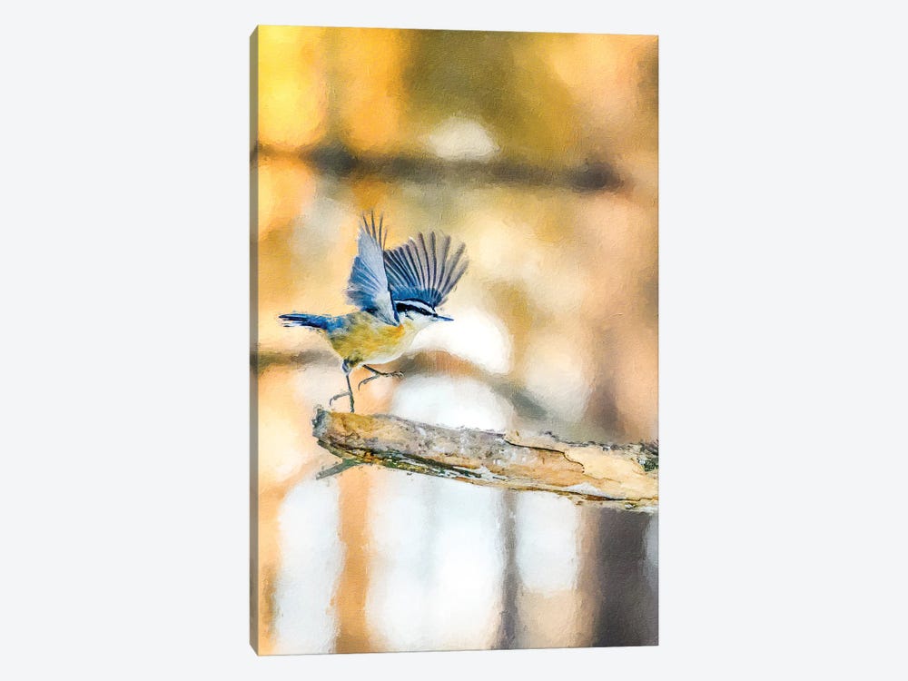 Dancing Little Bird At The Morning by Nik Rave 1-piece Canvas Print