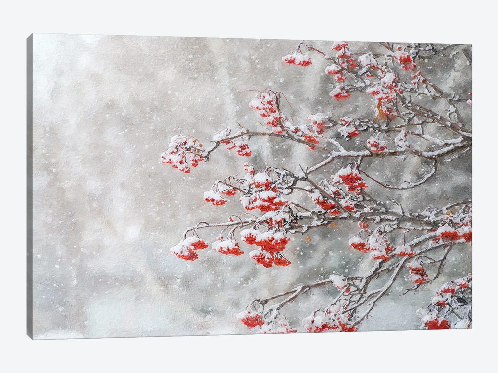 Rowan In Snowfall Painting by Nik Rave 1-piece Canvas Art