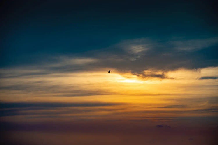 A Flight Of A Spirit by Nik Rave wall art