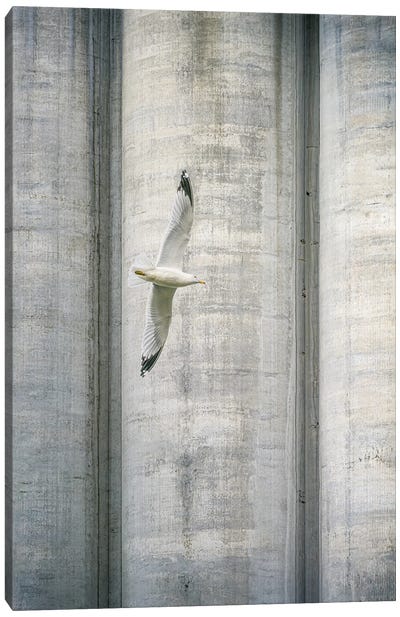 A Flight Over Concrete Jungle Canvas Art Print - Nik Rave