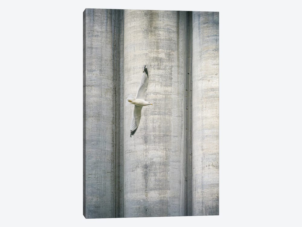 A Flight Over Concrete Jungle by Nik Rave 1-piece Canvas Artwork