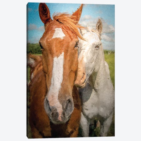 A True Love (Horses) Canvas Print #NRV441} by Nik Rave Canvas Artwork