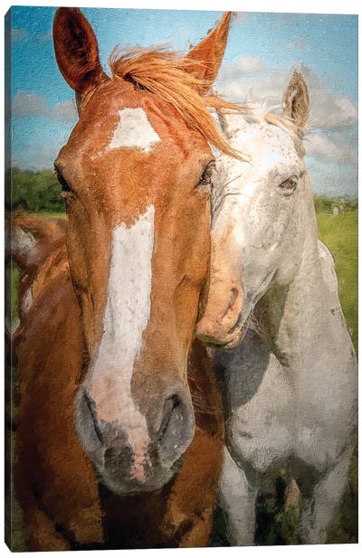 A True Love (Horses) Canvas Art Print - Nik Rave