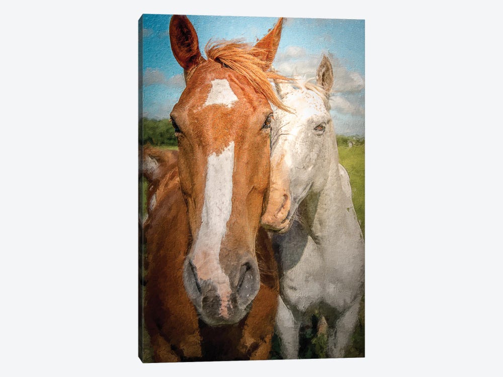 A True Love (Horses) by Nik Rave 1-piece Canvas Art