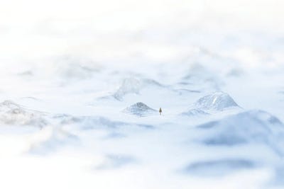 Frozen Lands by Nik Rave framed canvas print