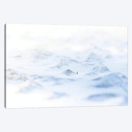 Frozen Lands Canvas Print #NRV461} by Nik Rave Canvas Artwork