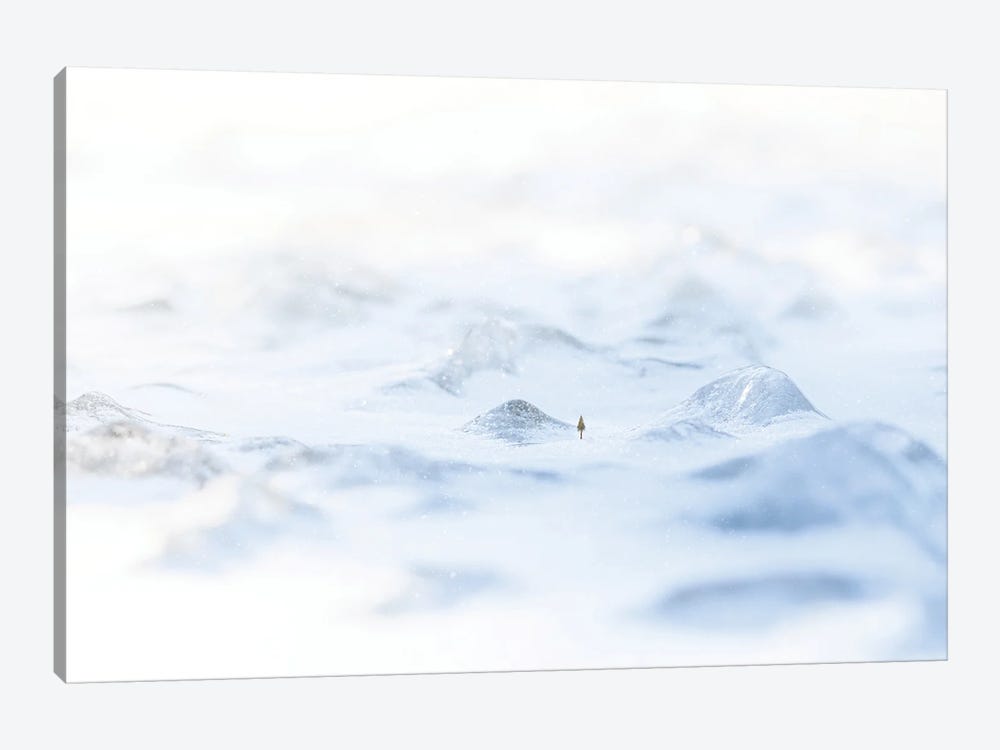 Frozen Lands by Nik Rave 1-piece Canvas Artwork