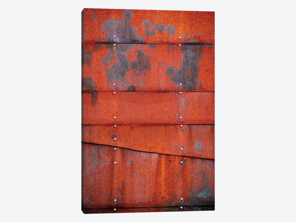Mr Red by Nik Rave 1-piece Canvas Wall Art