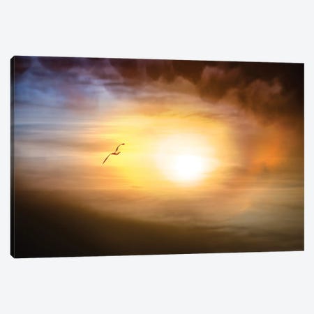 The Eye Of A Storm Canvas Print #NRV489} by Nik Rave Canvas Artwork