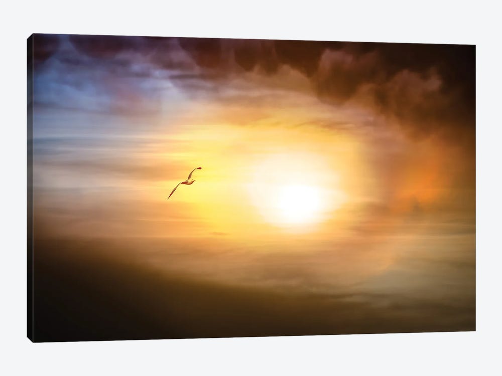 The Eye Of A Storm by Nik Rave 1-piece Canvas Artwork