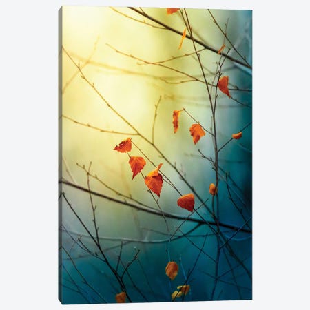 The Last Signs Of Fall Vertical Canvas Print #NRV491} by Nik Rave Canvas Print