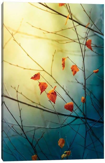 The Last Signs Of Fall Vertical Canvas Art Print - Nik Rave