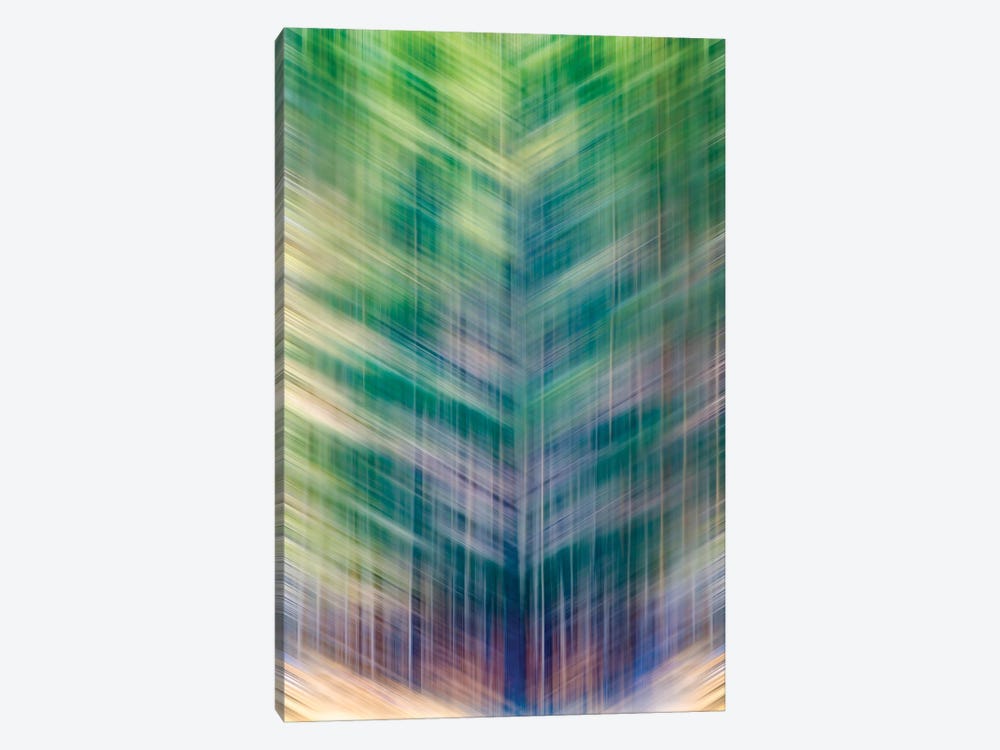 Verborgen Wald Or Hidden Forest by Nik Rave 1-piece Canvas Wall Art
