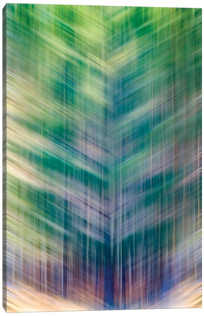 Verborgen Wald Or Hidden Forest Canvas Art Print - Nik Rave