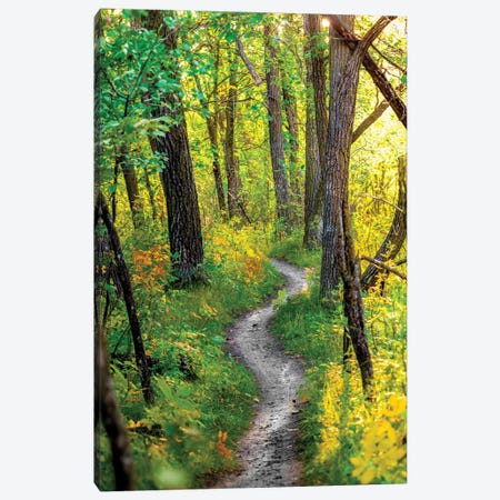 Waking Up Of Nature Canvas Print #NRV499} by Nik Rave Art Print