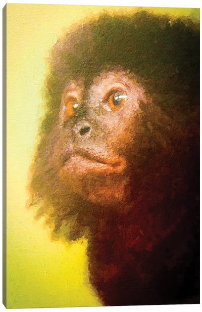 Monkey World Canvas Art Print - Nik Rave