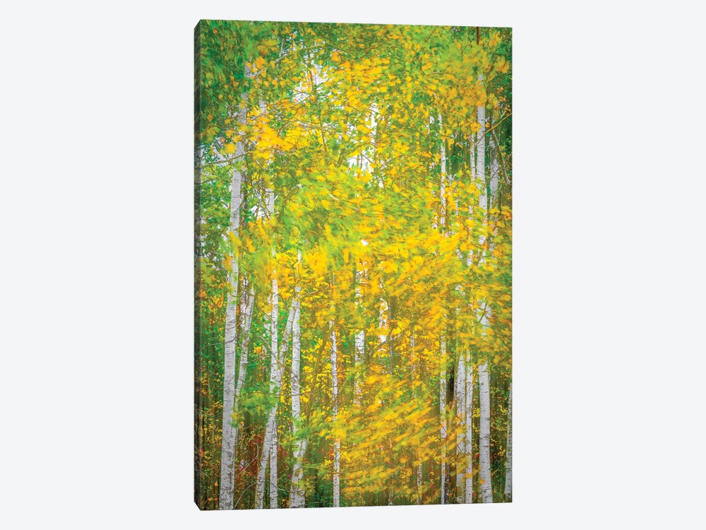 Woodland In Motion by Nik Rave 1-piece Canvas Wall Art