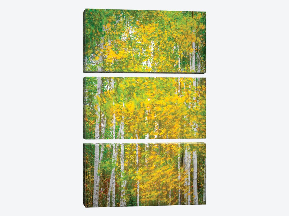 Woodland In Motion by Nik Rave 3-piece Canvas Art