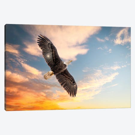 The King Of The Birds Canvas Print #NRV538} by Nik Rave Canvas Art