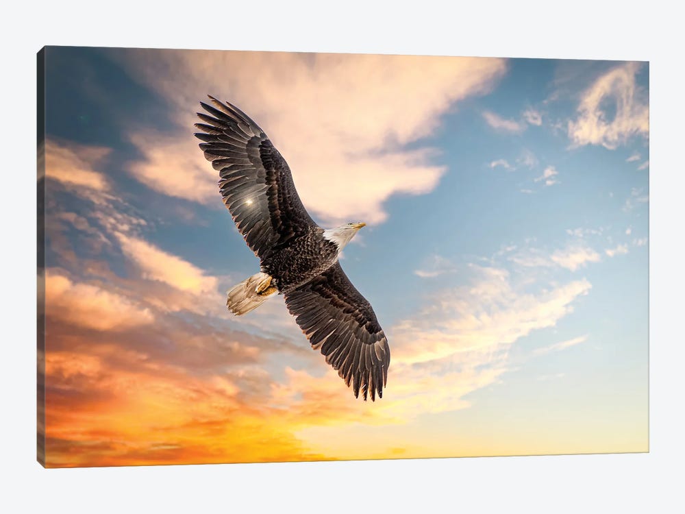 The King Of The Birds by Nik Rave 1-piece Canvas Print