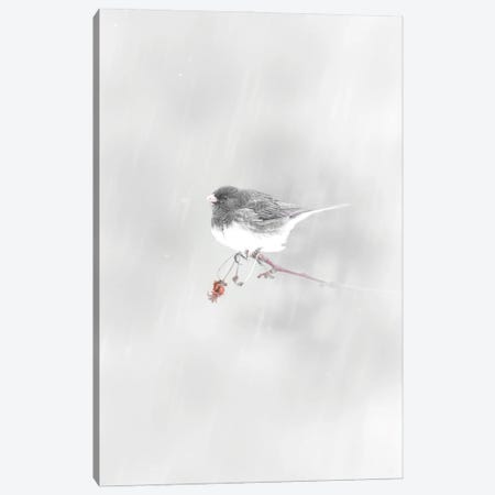 Small Bird Under Snowfall Canvas Print #NRV545} by Nik Rave Canvas Artwork