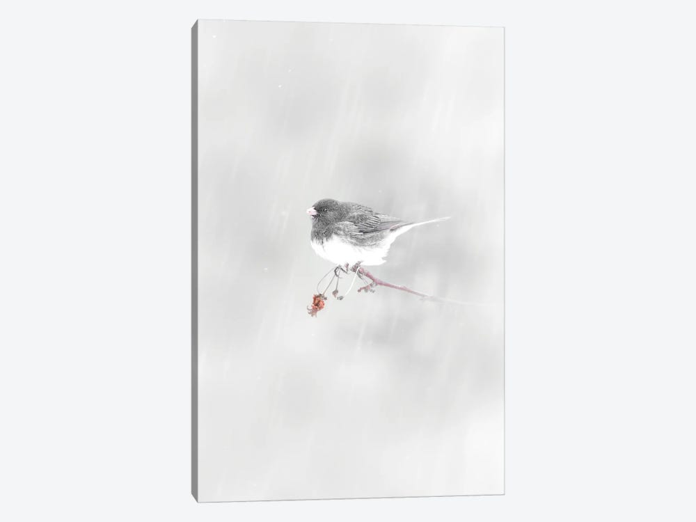 Small Bird Under Snowfall by Nik Rave 1-piece Canvas Art Print