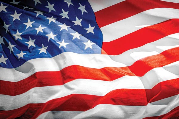 American Flags: The Flag by Nik Rave