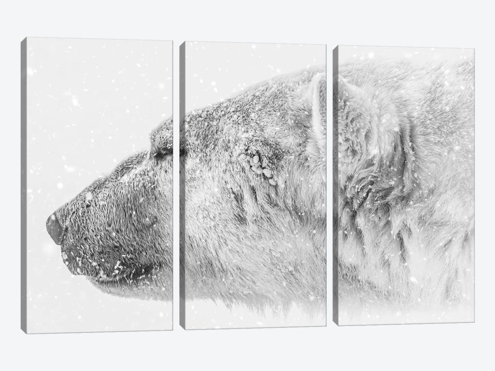 The King Of Arctic by Nik Rave 3-piece Art Print